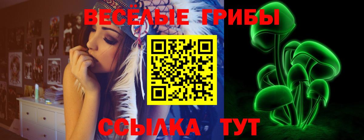 Галлюциногенные грибы GOLDEN TEACHER  Псилоцибиновые грибы мухоморы  Минеральные Воды  Вход с VPN 